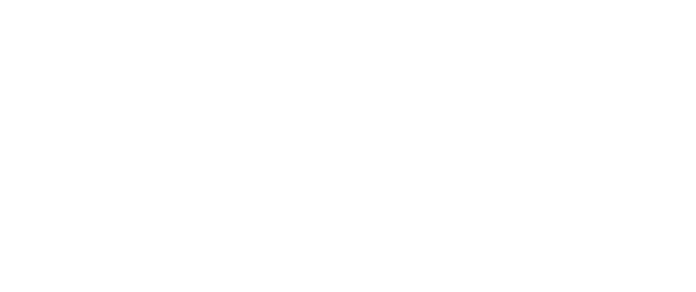 DJ Domic